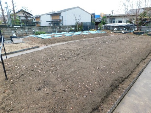 DSCN3368