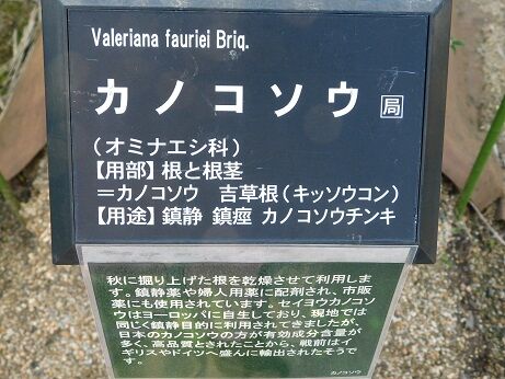 DSCN9296