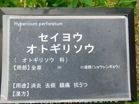 DSCN9907