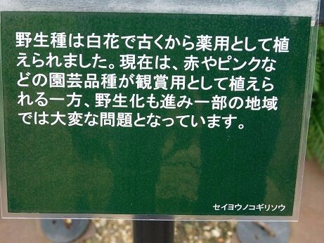 DSCN9627