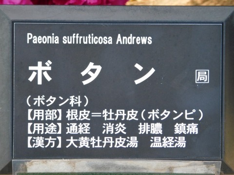 DSCN3837