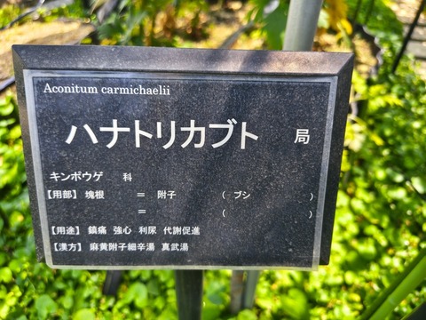 IMG_20260728_113053423_HDR