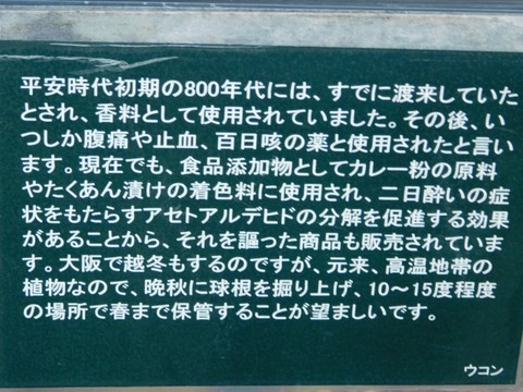 DSCN2713