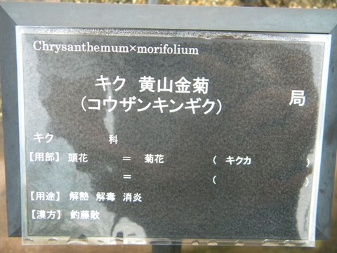 DSCN9657