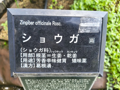 IMG_20260911_134922103_HDR