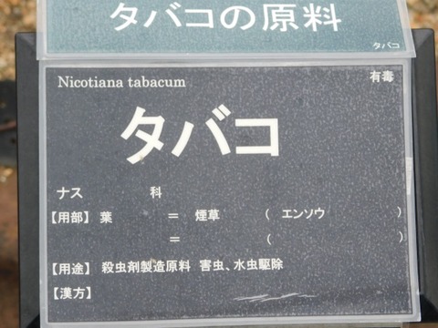 DSCN7134