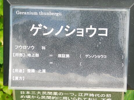 DSCN8015