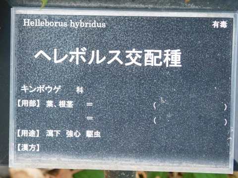 DSCN6150
