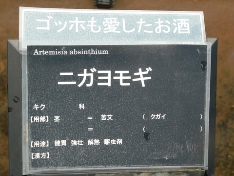 DSCN4409