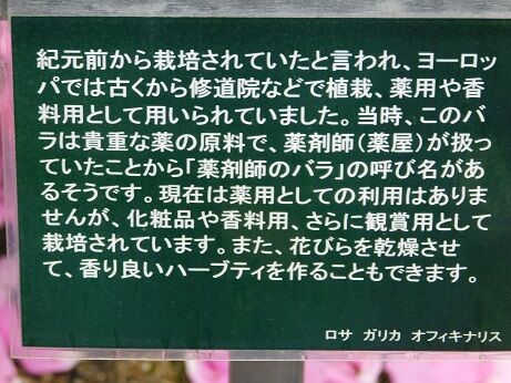 DSCN9532