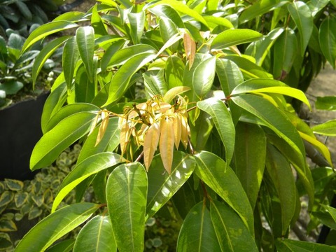 DSCN9985