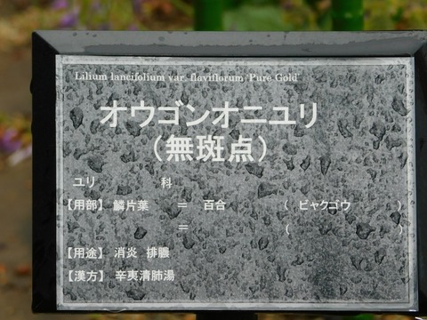 DSCN4368