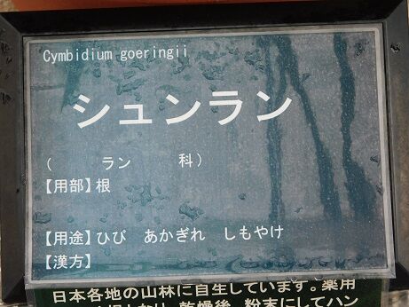 DSCN1491