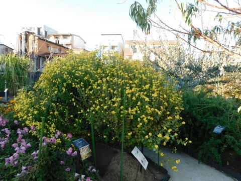 DSCN3178