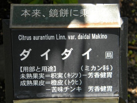 DSCN9438