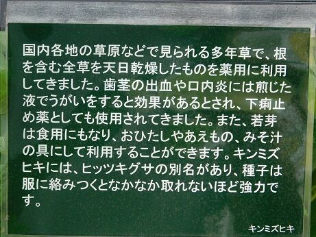 DSCN8263