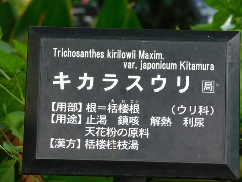 DSCN2786