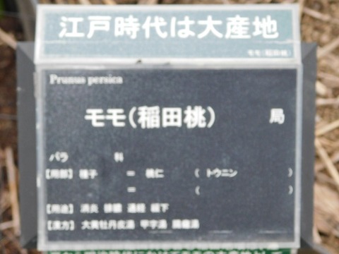 DSCN3630