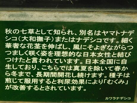 DSCN1053