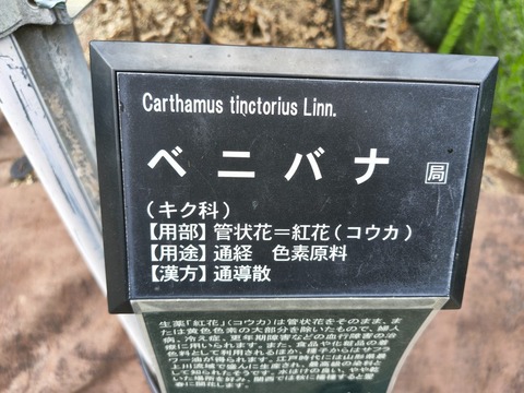 IMG_20260723_113223269_HDR