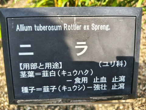 IMG_20260820_114837704_HDR