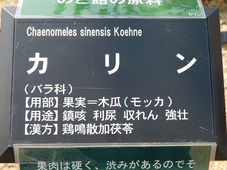 DSCN2403