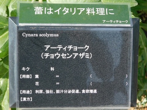 DSCN6645