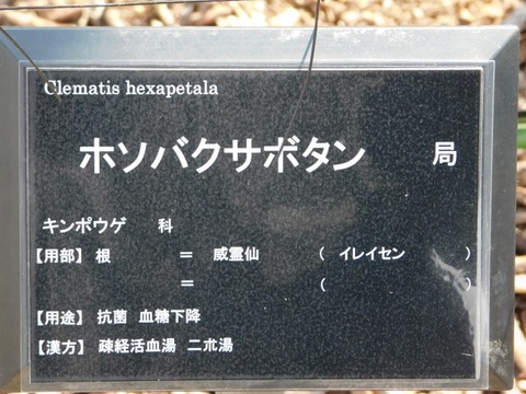 DSCN6355