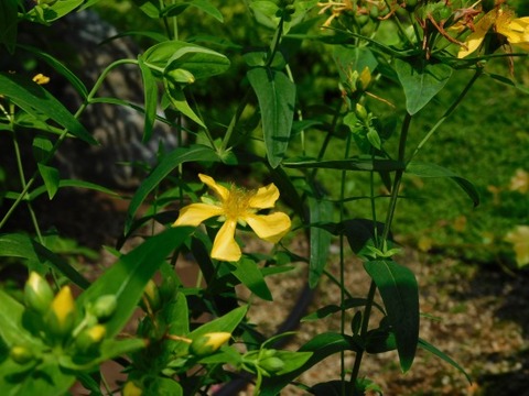 DSCN2177