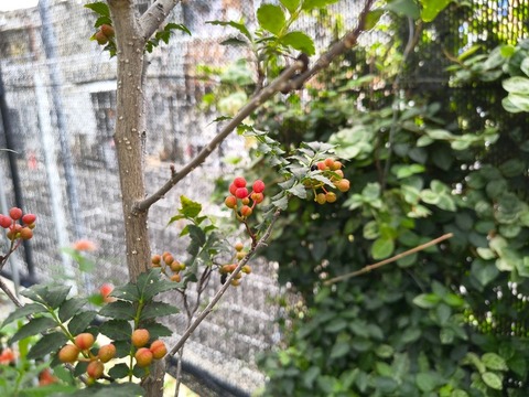 IMG_20260919_160844770