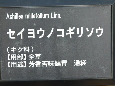 DSCN7851