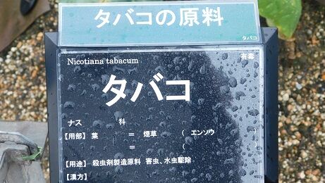 DSCN8151