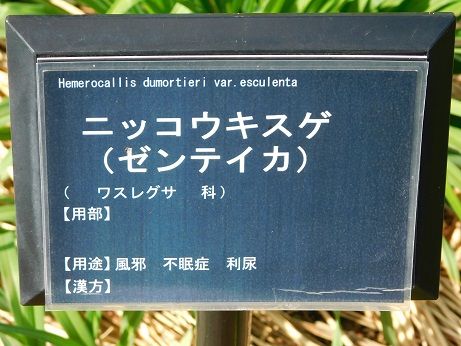 DSCN4880