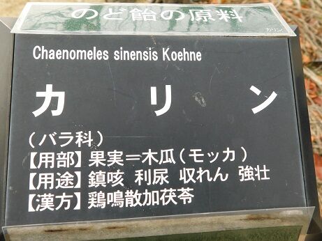 DSCN1018
