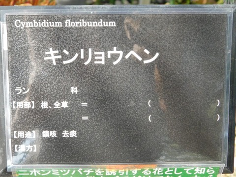 DSCN6546