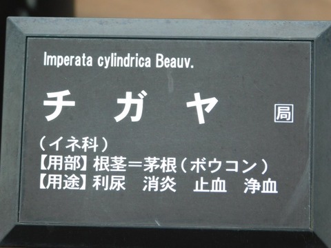 DSCN3755