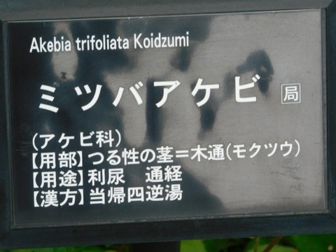 DSCN2070