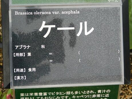 DSCN9456
