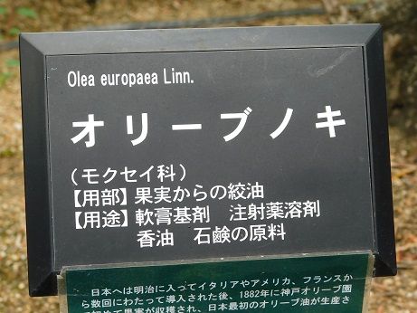 DSCN5473