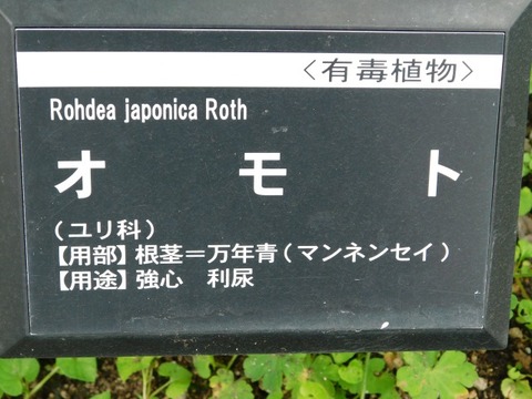 DSCN6766