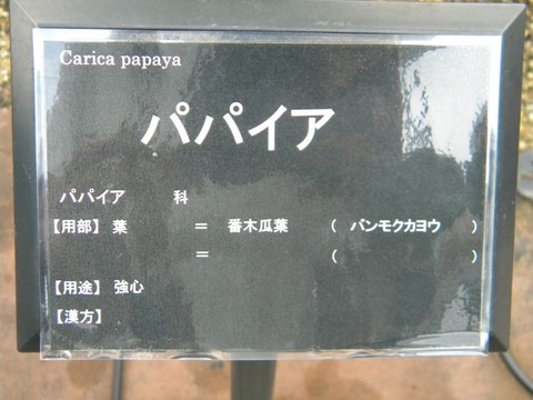 DSCN9668