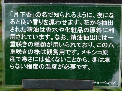 DSCN2799