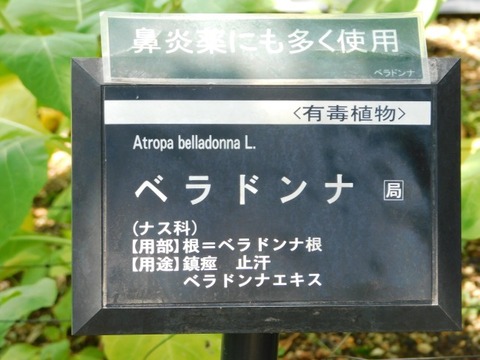 DSCN7256