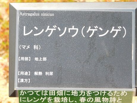 DSCN2420