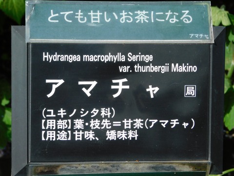 DSCN4189