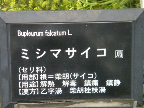 DSCN9937