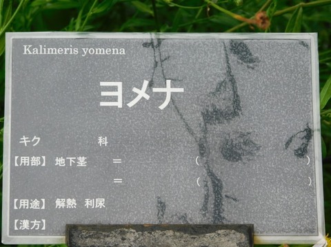 DSCN2672