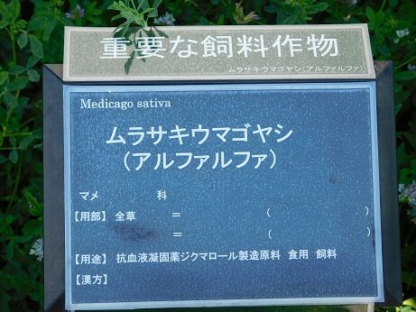 DSCN9850