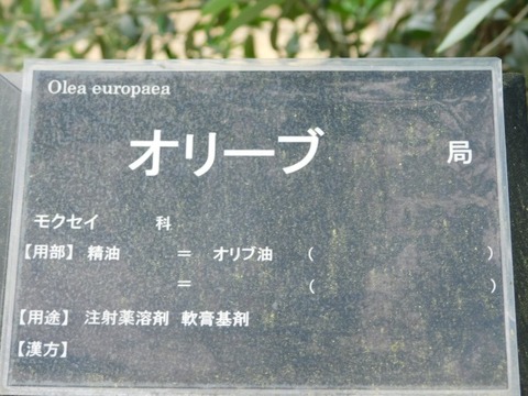 DSCN6744