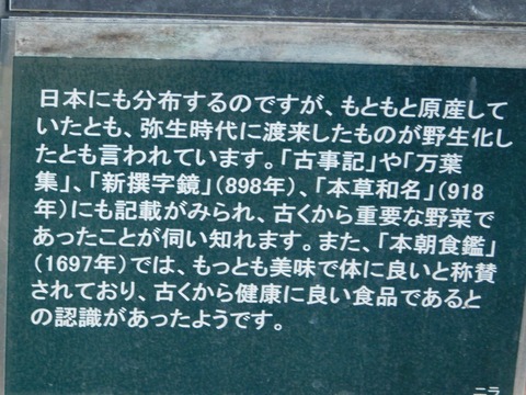 DSCN5061